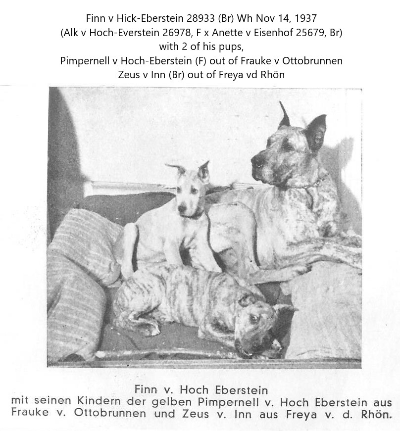 Finn v Hoch-Eberstein